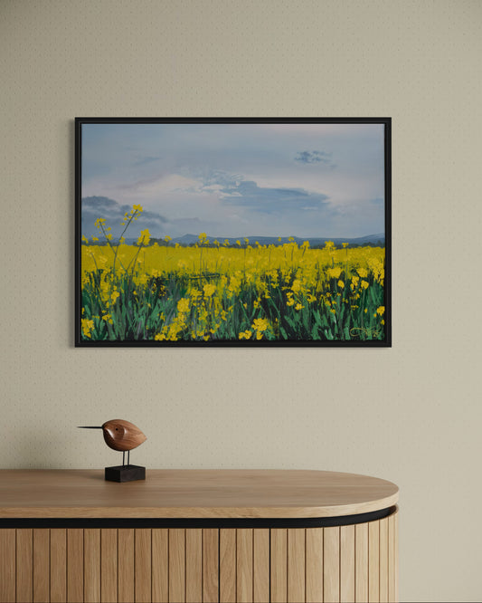 Raps am Wiehen III // Öl, 50x70cm