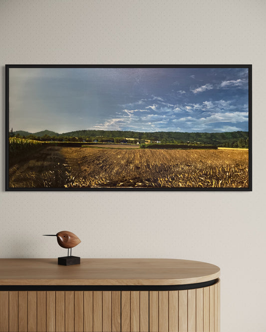 Fields of Gold // Öl, 50x100cm