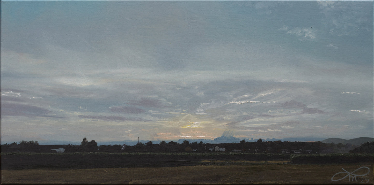 Abendstimmung // Öl, 50x100cm