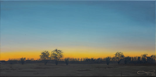 Abendglühen // Öl, 50x100cm