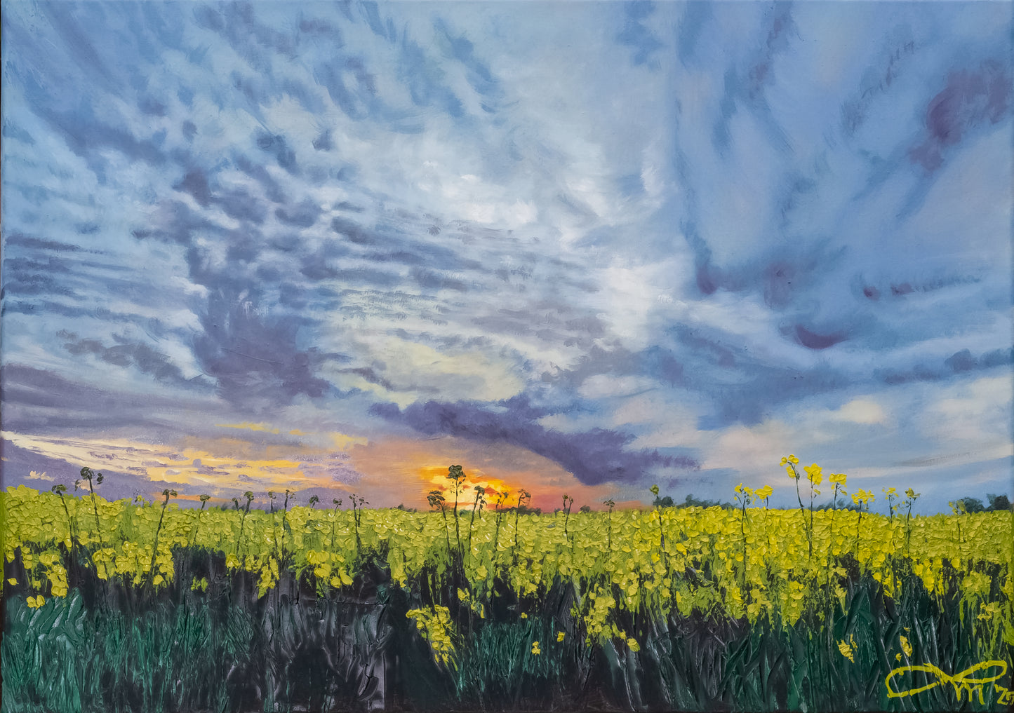 Raps am Wiehen II // Öl, 50x70cm