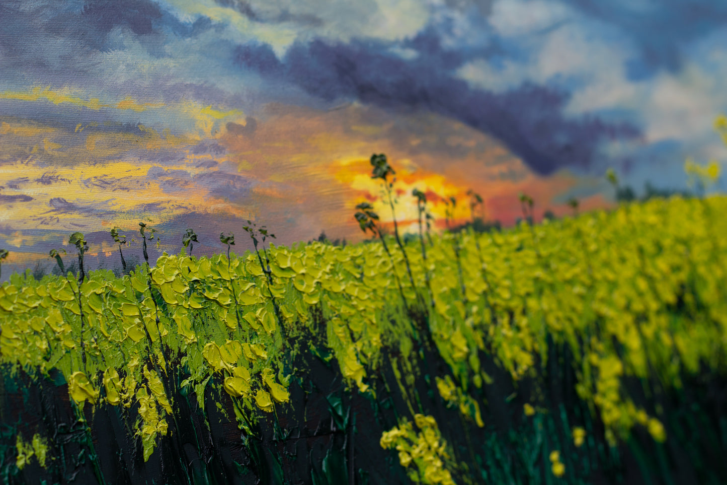 Raps am Wiehen II // Öl, 50x70cm