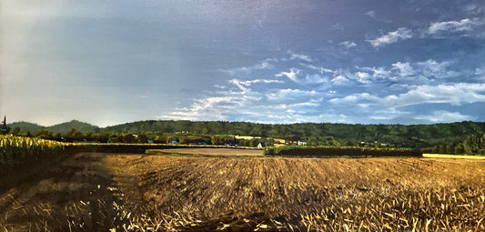 Fields of Gold // Öl, 50x100cm