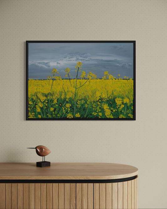 Raps am Wiehen // Öl, 50x70cm